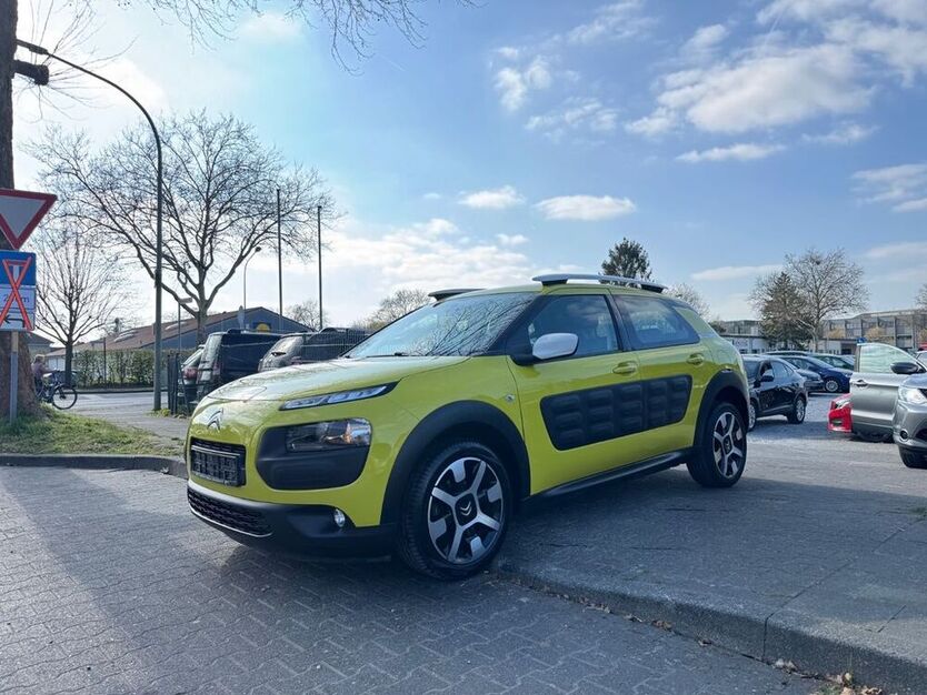 C4 Cactus