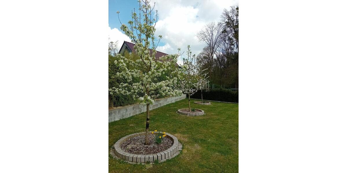 Einfamilienhaus Augustdorf - 6 Zimmer, 187 m&sup2;, 685.000&euro; | Angebot:26250281