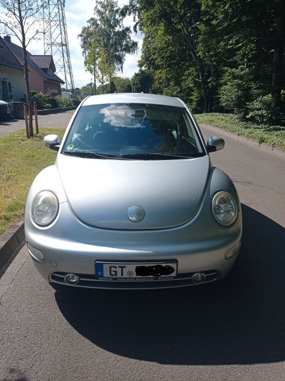 Beetle