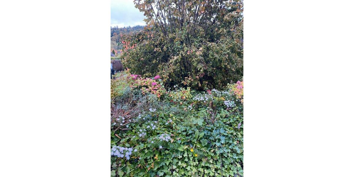 Einfamilienhaus Bad Wünnenberg - 3 Zimmer, 55 m&sup2;, 554&euro; | Angebot:24868353