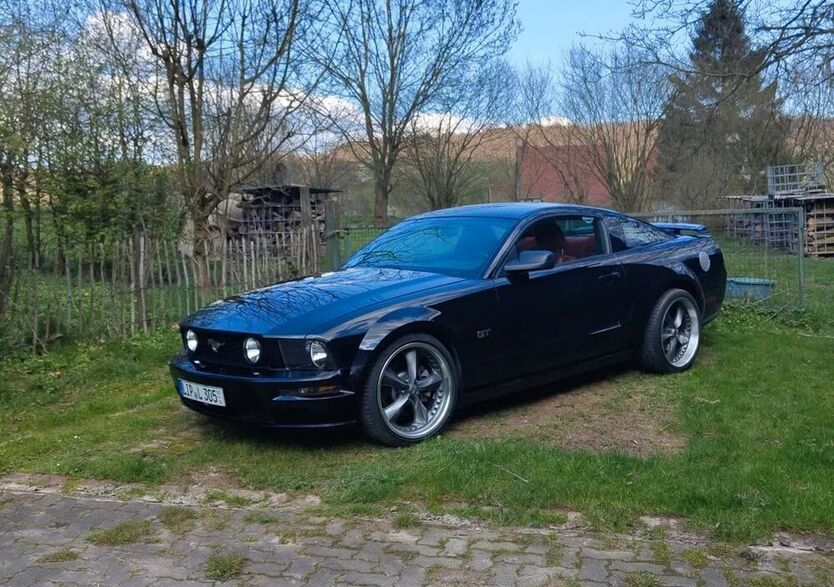 Mustang
