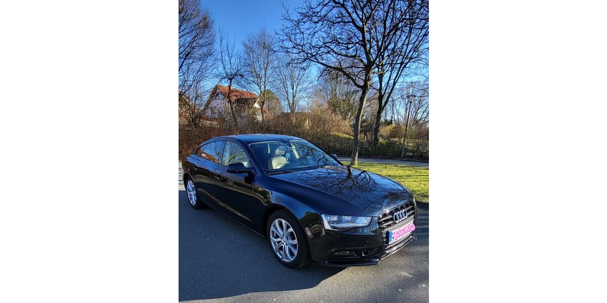 Audi A5 216.000 km 10.800 &euro; Schlangen 33189