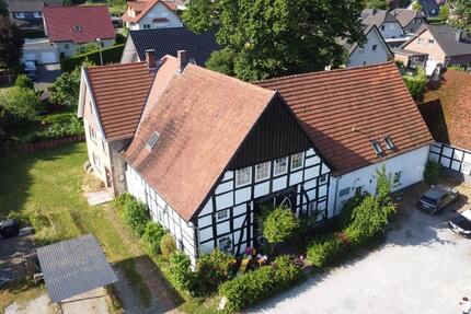 Charmante ETW, Detmold-PiVi VL mit Garten zimmer