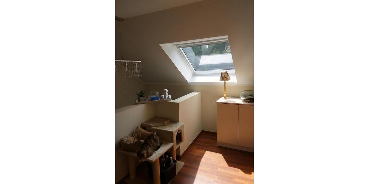 Einfamilienhaus Horn-Bad Meinberg Bad Meinberg - 9 Zimmer, 245 m&sup2;, 390.000&euro; | Angebot:27004280