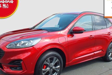 Ford Kuga 14.300 km 33.900 € Langenberg 33449