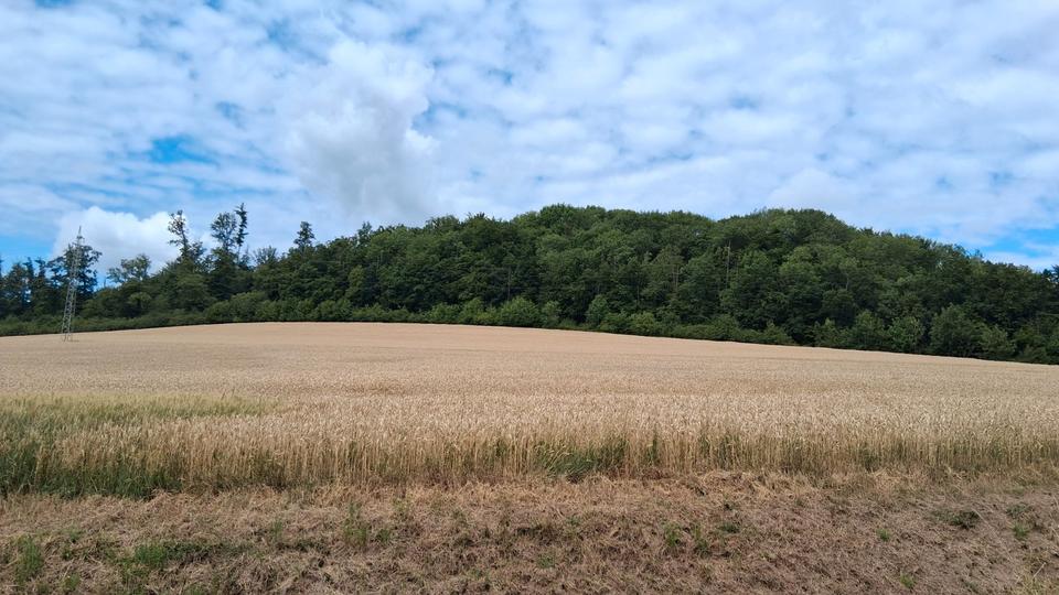 Mehrfamilienhaus, Wohnhaus Detmold Hakedahl - 10 Zimmer, 240 m&sup2;, 329.000&euro; | Angebot:26481679