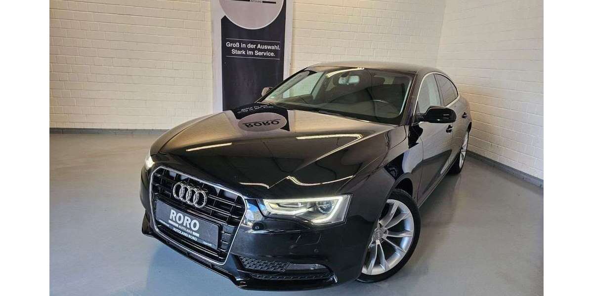 Audi A5 134.650 km 14.300 &euro; Lippstadt 59557