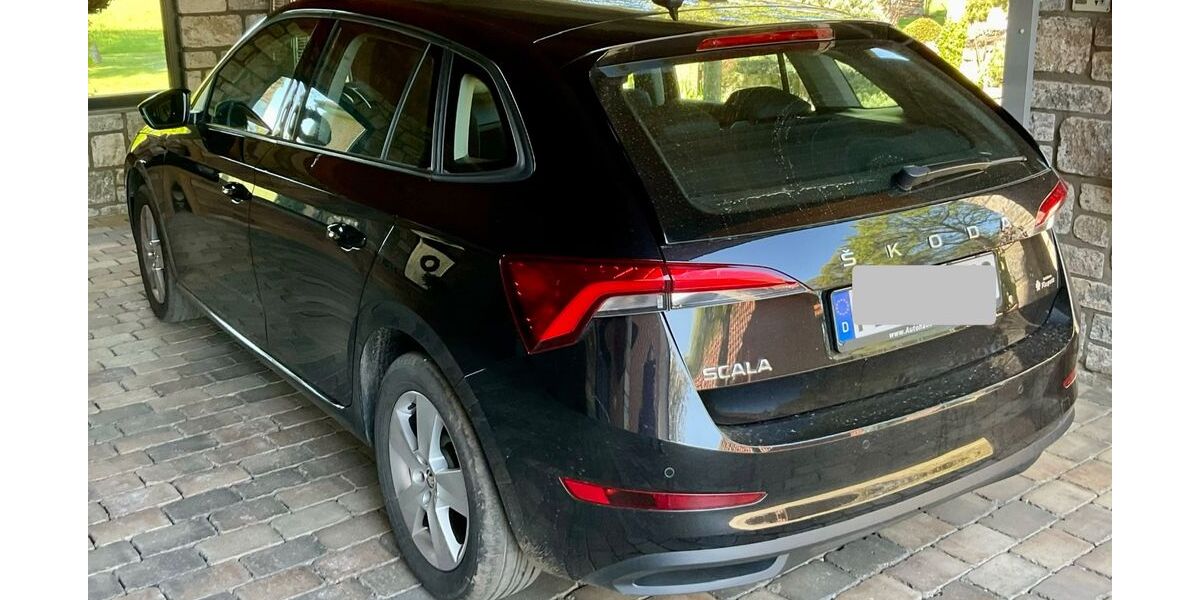Skoda Scala 62.000 km 14.290 &euro; Delbrück 33129