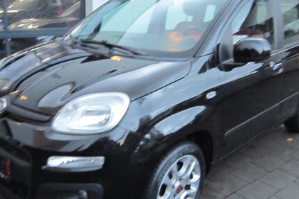 Fiat Panda 76.200 km 6.990 € Paderborn 33102