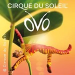 Cirque du Soleil - OVO