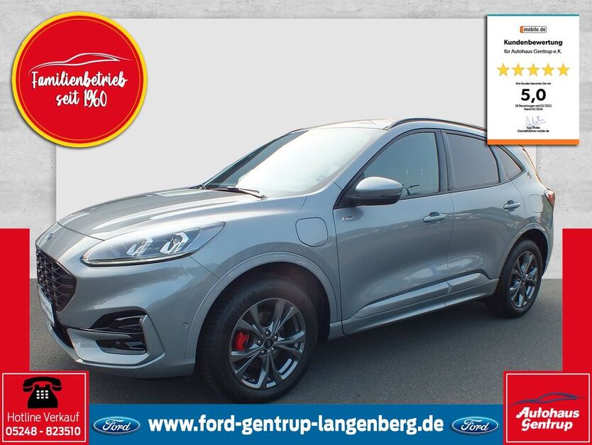 Ford Kuga 8.800 km 32.950 € Langenberg 33449