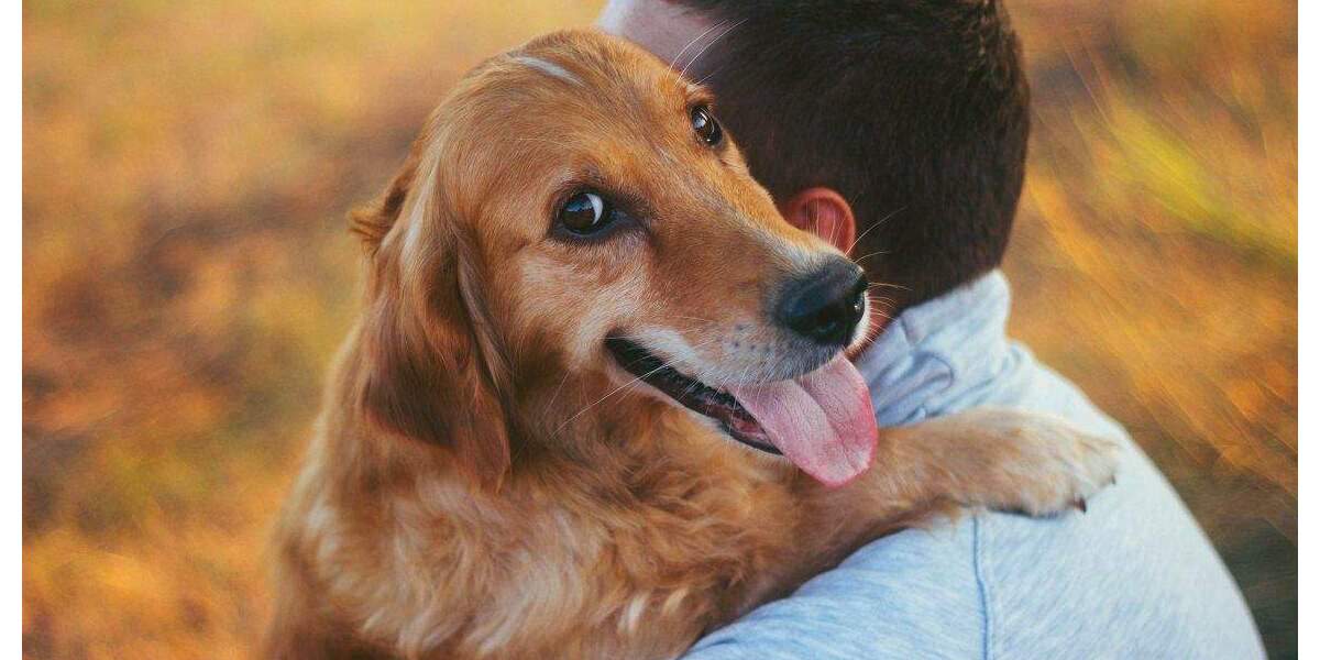 Bungalow Büren Steinhausen - 3 Zimmer, 110 m&sup2;, 330.000&euro; | Angebot:25836333