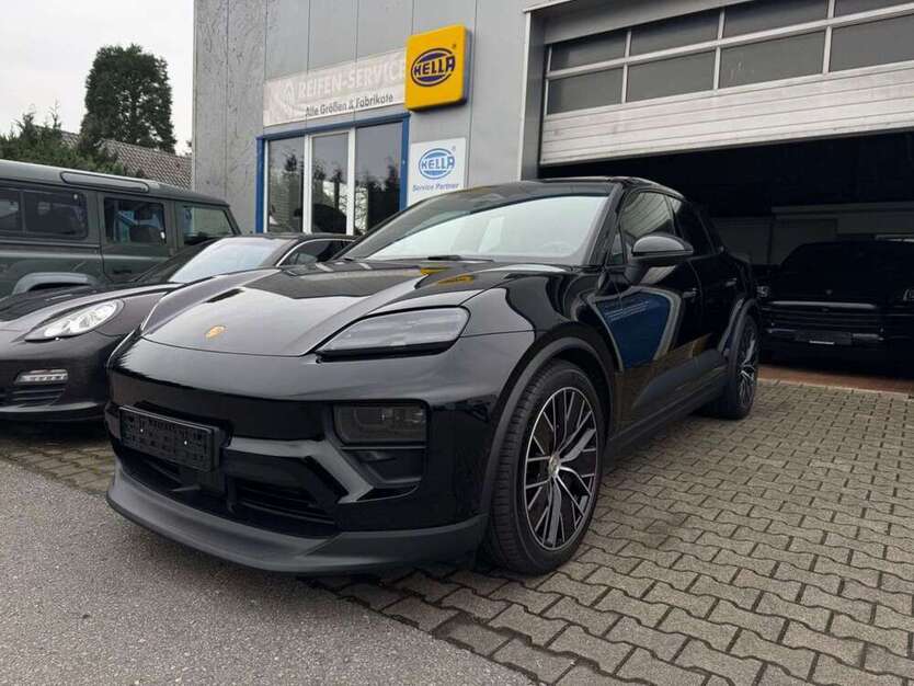 Macan