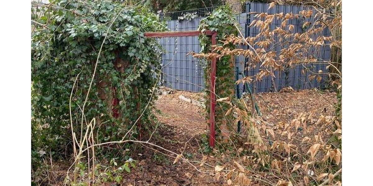 Doppelhaushälfte Steinheim - 5 Zimmer, 91 m&sup2;, 125.000&euro; | Angebot:25805197