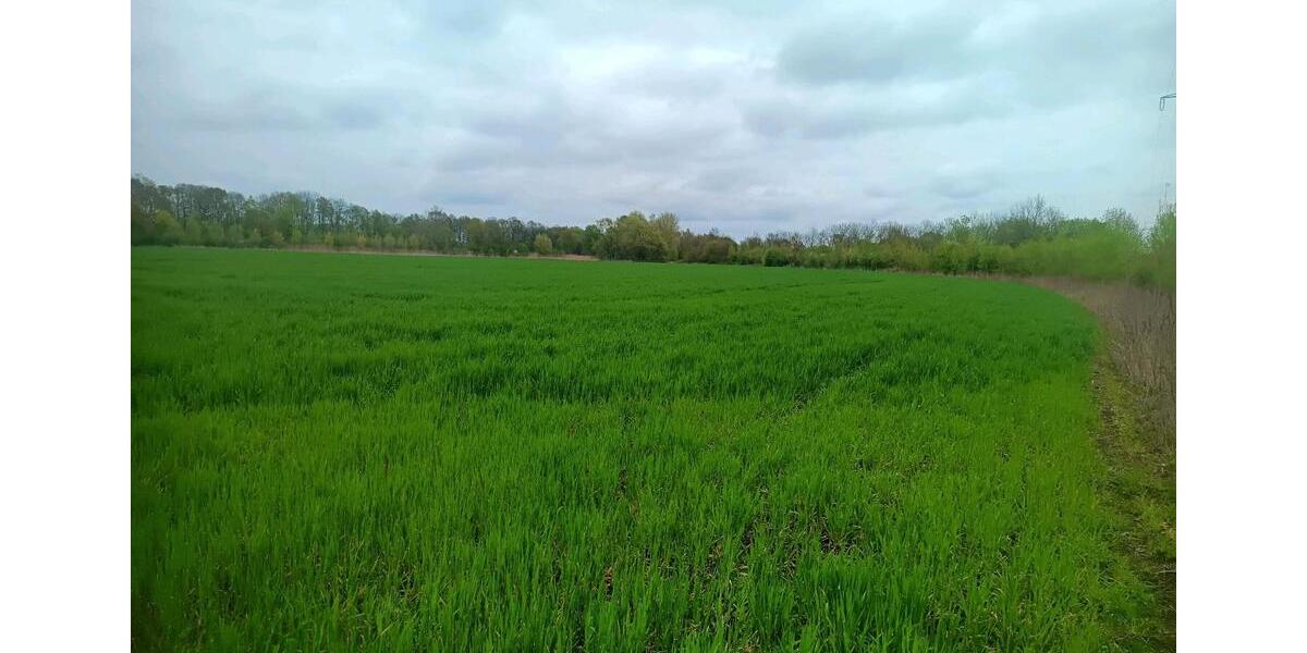 Grundstück Delbrück - 13&euro; | Angebot:24383642