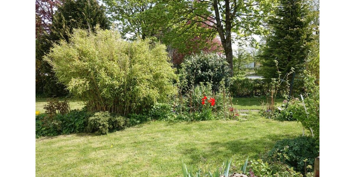 Reihenhaus Horn-Bad Meinberg Bad Meinberg - 6 Zimmer, 120 m&sup2;, 225.000&euro; | Angebot:26670413