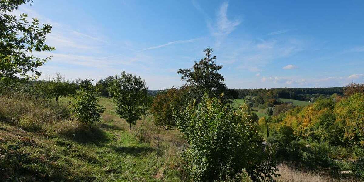 Grundstück Büren - 70.000&euro; | Angebot:23011426