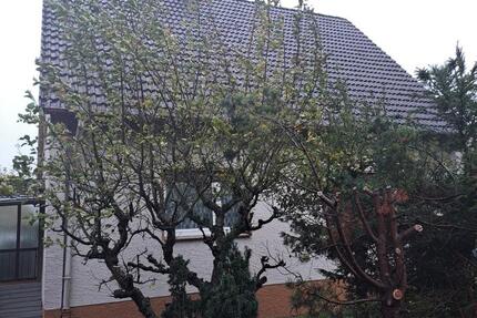Einfamilienhaus zimmer
