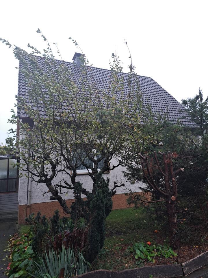 Einfamilienhaus zimmer