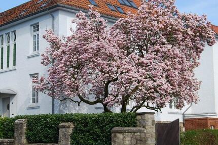 Stilvolle Wohnoase in bester Innenstadtlage