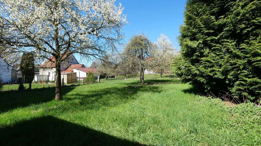 Grundstück Borchen / Nordborchen Nordborchen - 199.000&euro; | Angebot:26918020