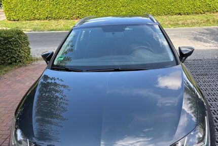 Seat Leon 170.875 km 10.499 € Langenberg 33449