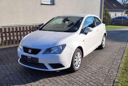 Seat Ibiza 119.000 km 5.600 &euro; Schlangen 33189