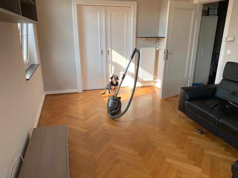 4-Zimmer-Wohnung, 120qm Altbau Bielefeld Senne, provisionsfrei zimmer