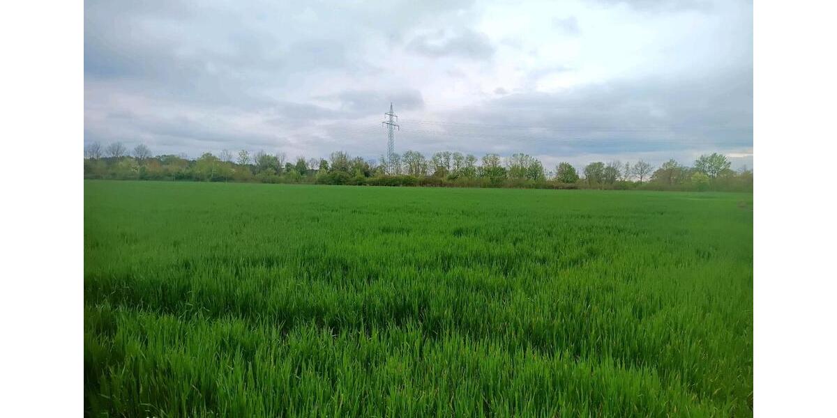 Grundstück Delbrück - 13&euro; | Angebot:24383642