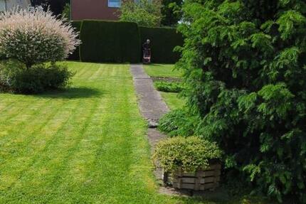 Wohnung Lippstadt Overhagen - 3 Zimmer, 110 m&sup2;, 1.100&euro; | Angebot:25274233