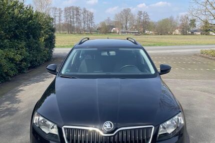 Skoda Octavia 156.000 km 8.350 &euro; Verl 33415