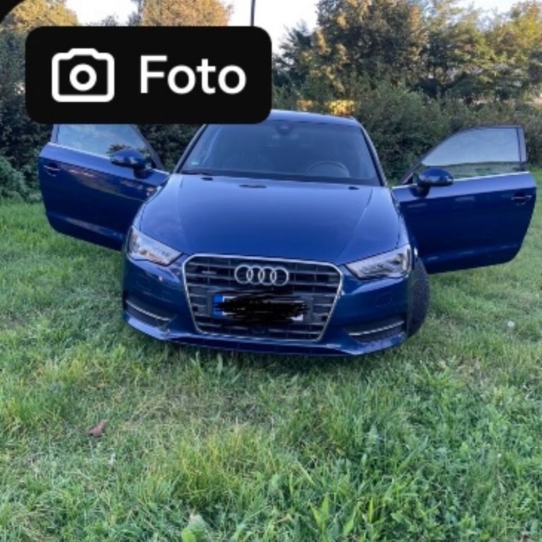 A3