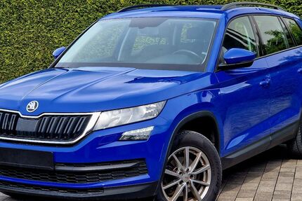 Skoda Kodiaq 169.000 km 16.499 &euro; Bad Lippspringe 33175