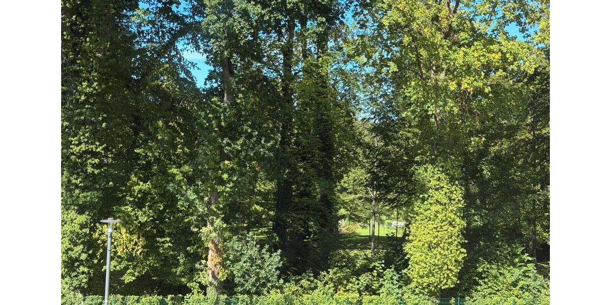 Etagenwohnung Bad Driburg - 3 Zimmer, 84 m&sup2;, 960&euro; | Angebot:27626098