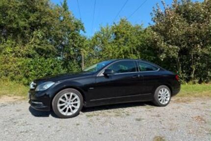 Mercedes-Benz 220 229.850 km 10.099 &euro; Helmern 33181