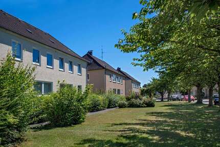 Wohnung Brakel - 2 Zimmer, 50 m&sup2;, 389&euro; | Angebot:26551444