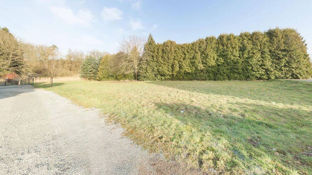 Mehrfamilienhaus, Wohnhaus Horn-Bad Meinberg Billerbeck - 1 Zimmer, 430 m&sup2;, 399.000&euro; | Angebot:26260826