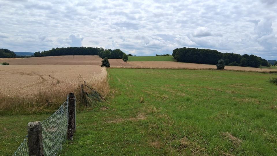 Mehrfamilienhaus, Wohnhaus Detmold Hakedahl - 10 Zimmer, 240 m&sup2;, 398.000&euro; | Angebot:25947813