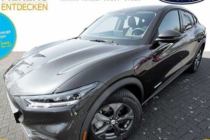 Ford Mustang Mach-E 1.500 km 34.900 € Schloß Holte-Stukenbrock 33758