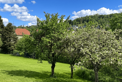 Wohnung Marsberg - 1 Zimmer, 45 m&sup2;, 59.900&euro; | Angebot:26795067