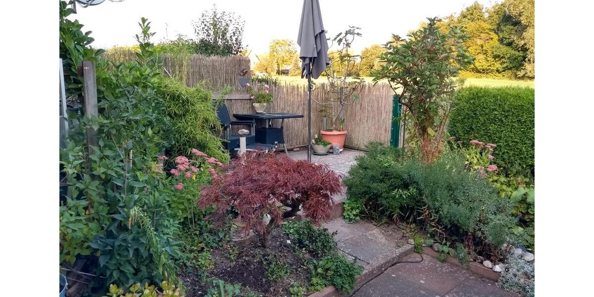 Doppelhaushälfte Detmold Hiddesen - 4 Zimmer, 129 m&sup2;, 1.100&euro; | Angebot:25795319