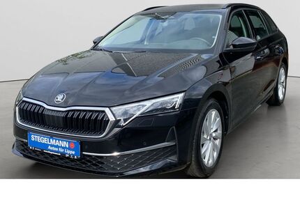 Skoda Octavia 9.651 km 31.190 &euro; Detmold 32756