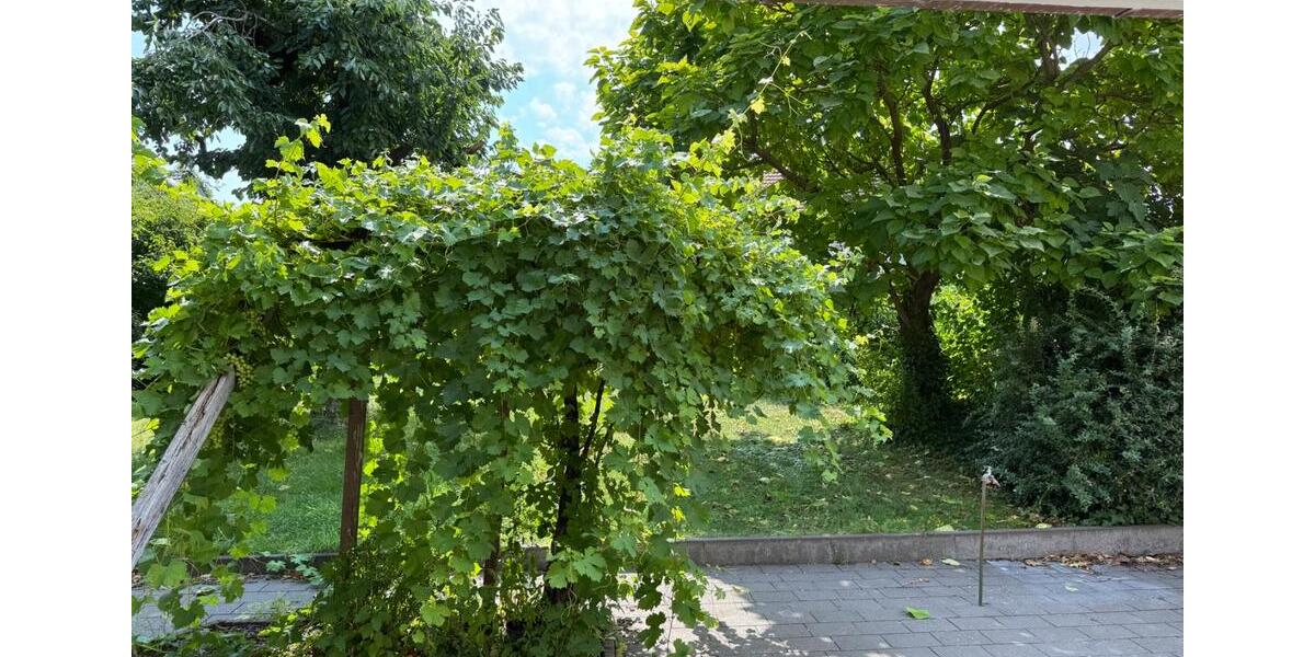 Reihenhaus Paderborn Univiertel - 6 Zimmer, 170 m&sup2;, 670.000&euro; | Angebot:27146472
