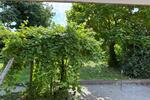 Reihenhaus Paderborn Univiertel - 6 Zimmer, 170 m&sup2;, 670.000&euro; | Angebot:27146472