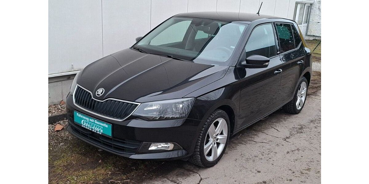 Skoda Fabia 93.911 km 9.499 &euro; Detmold 32758