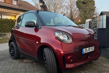 Smart ForTwo 36.000 km 9.700 &euro; Detmold 32756