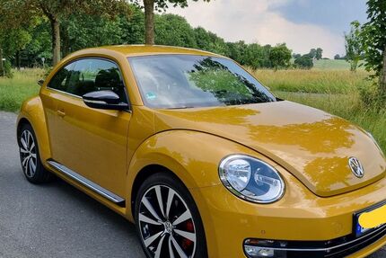 VW Beetle 103.000 km 23.900 &euro; Paderborn 33100