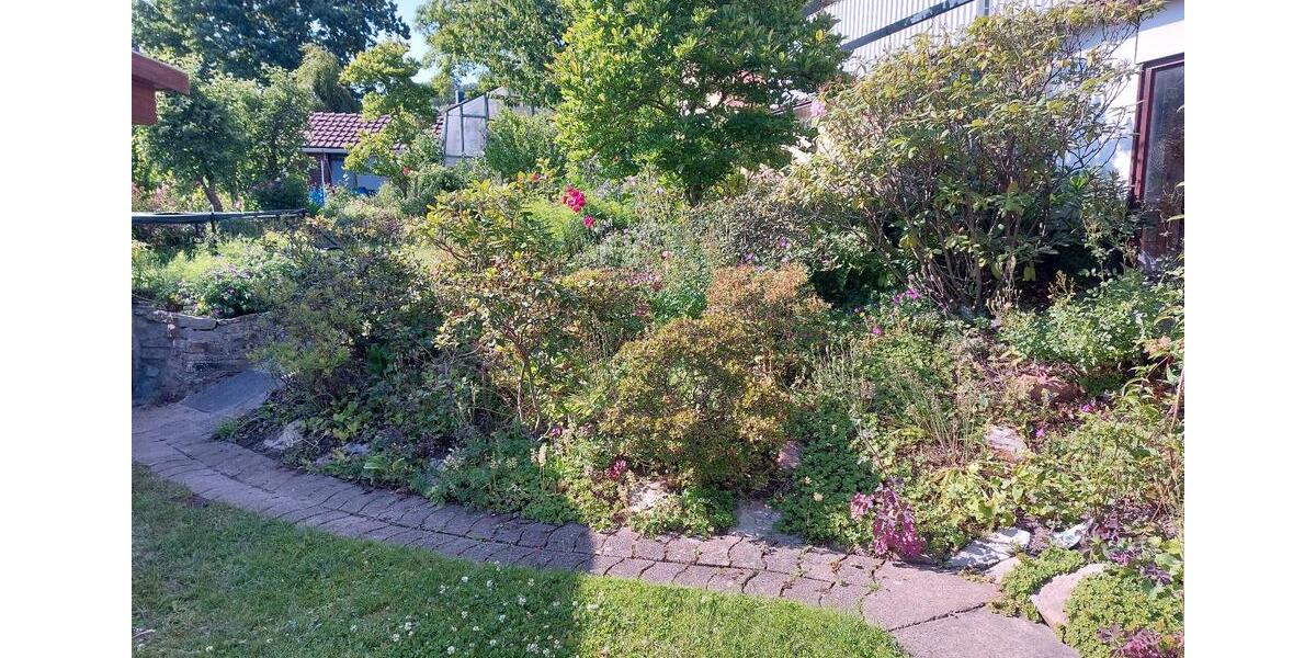 Etagenwohnung Horn-Bad Meinberg Bad Meinberg - 2 Zimmer, 67 m&sup2;, 750&euro; | Angebot:24815805