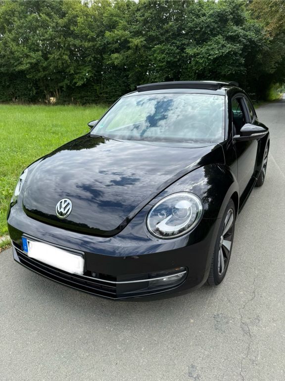 Beetle