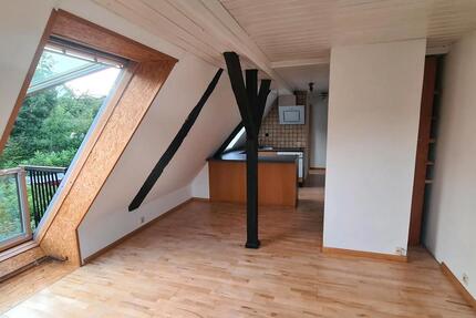 Wohnung Detmold Hiddesen - 2 Zimmer, 45 m&sup2;, 400&euro; | Angebot:26288156